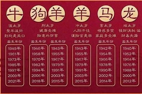 2023年属|2023年是什么生肖年